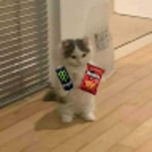 Meet your Posher, Jairo